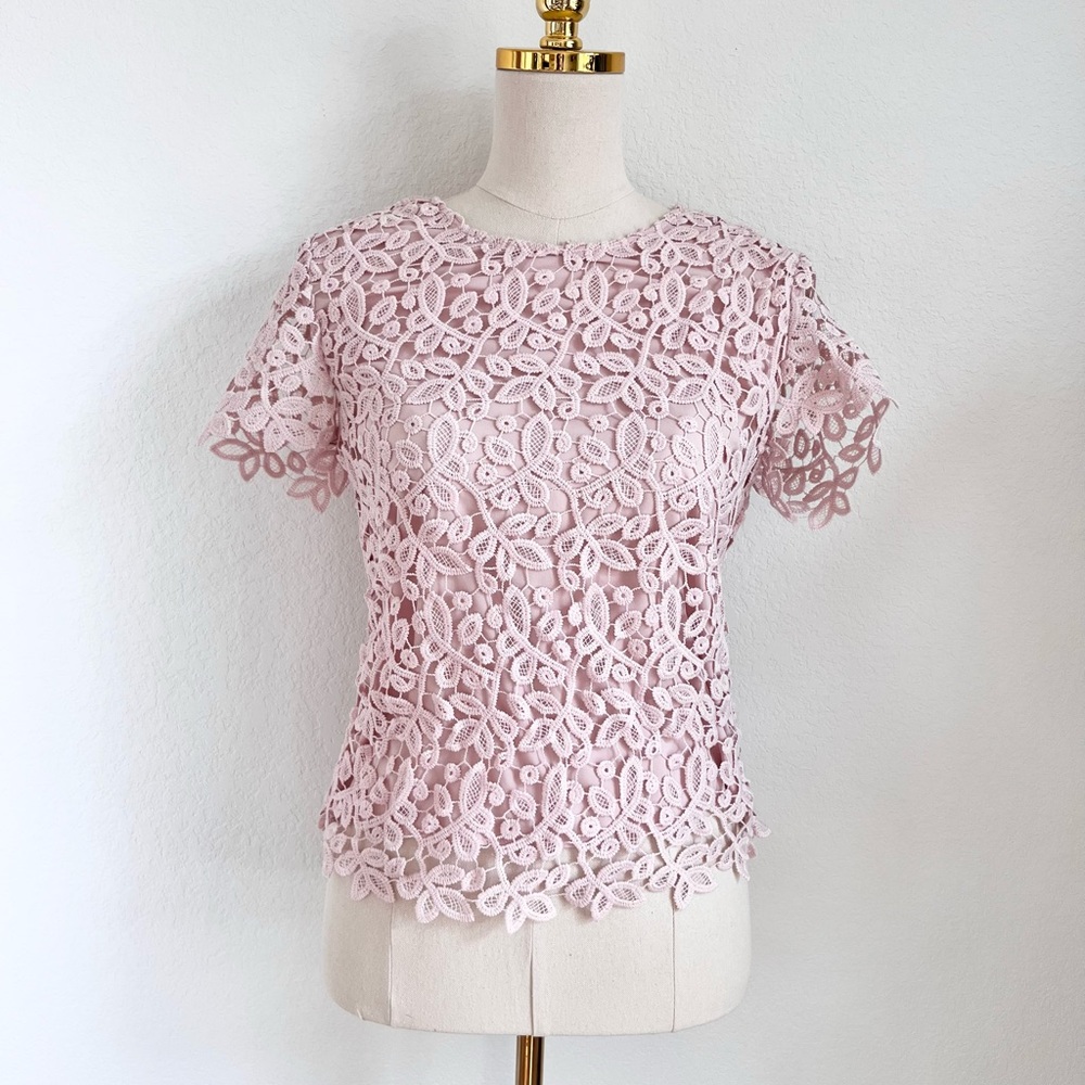 CATHERINE MALANDRINO Pastel Pink Lace Top Women’s Size Small